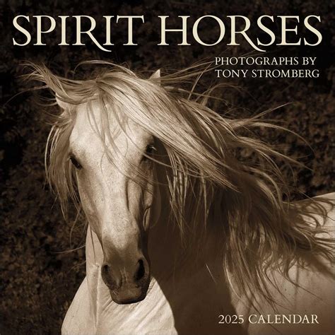 On Swift Horses 2025